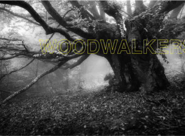 Woodwalkers- Production Design Maximilian Lange
