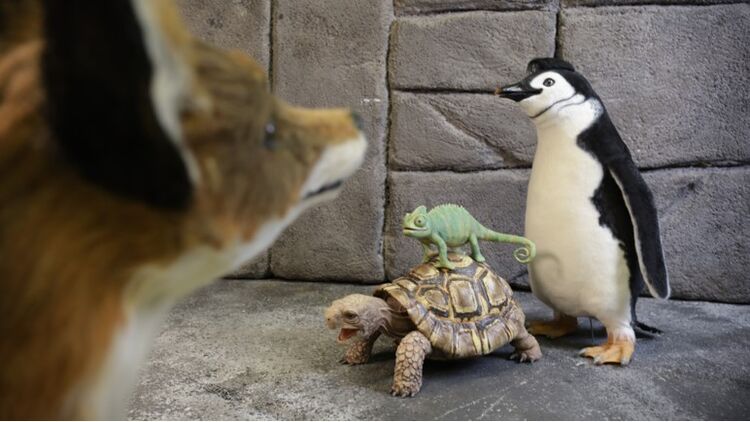 Die Schule der magischen Tiere 2